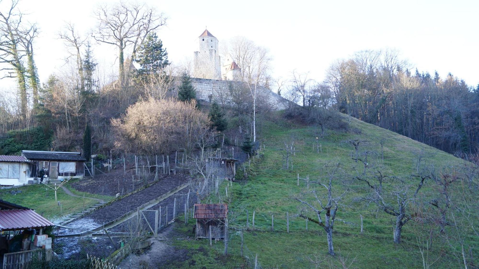 Landgasthof Falken Huttlingen Værelse billede